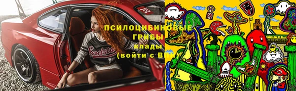 ПСИЛОЦИБИНОВЫЕ ГРИБЫ Абдулино