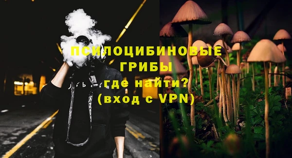 ПСИЛОЦИБИНОВЫЕ ГРИБЫ Абдулино